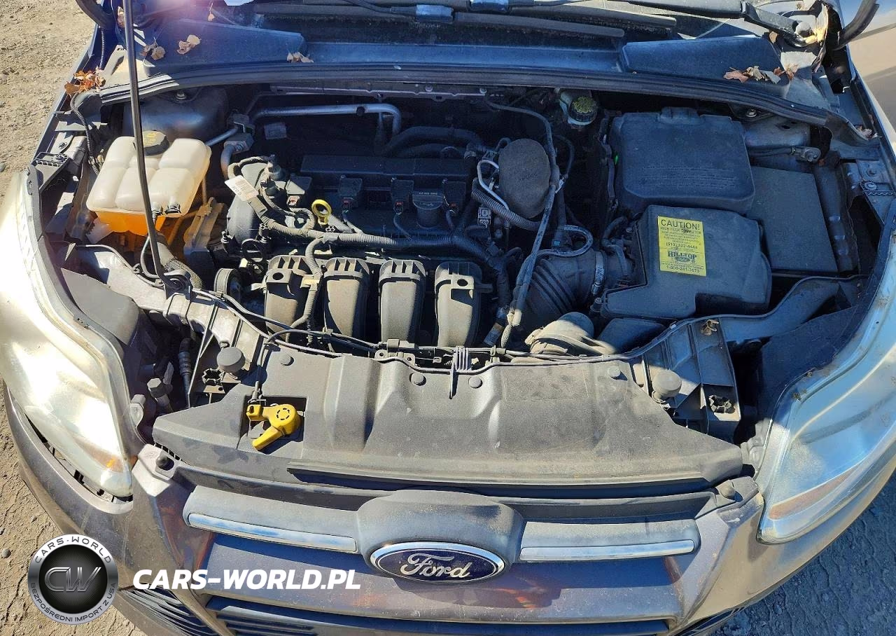 2014 Ford Focus Se VIN:1FADP3K23EL169969 - 11