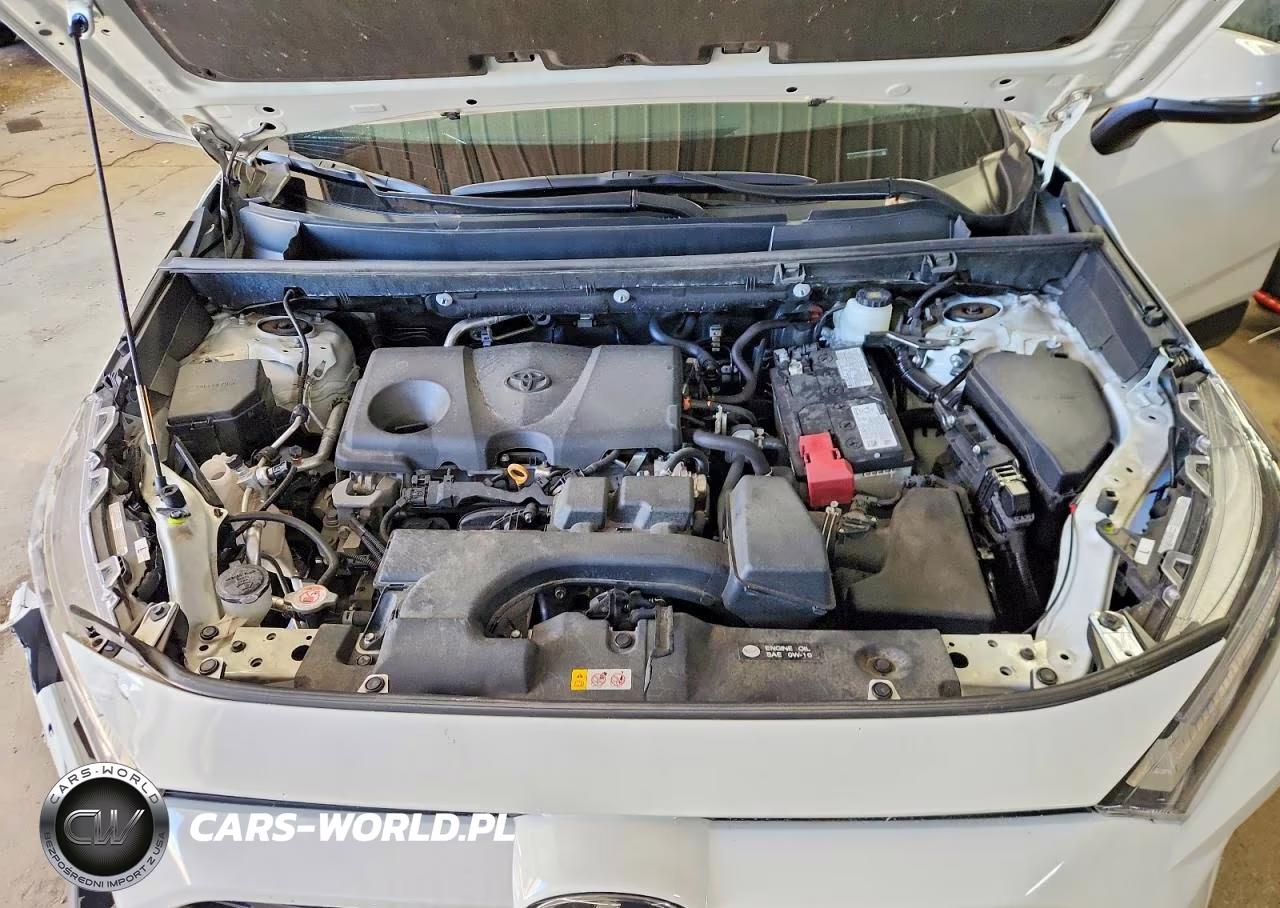2024 Toyota Rav4 Xle VIN:2T3P1RFV9RC430865 - 12