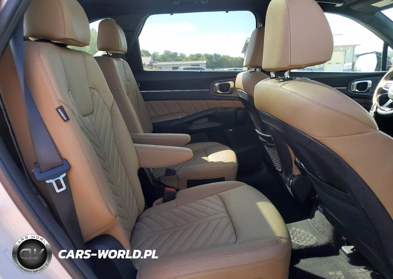 2024 Kia Sorento X-Line Sx Prestige VIN:5XYRKDJF3RG292326 - 11