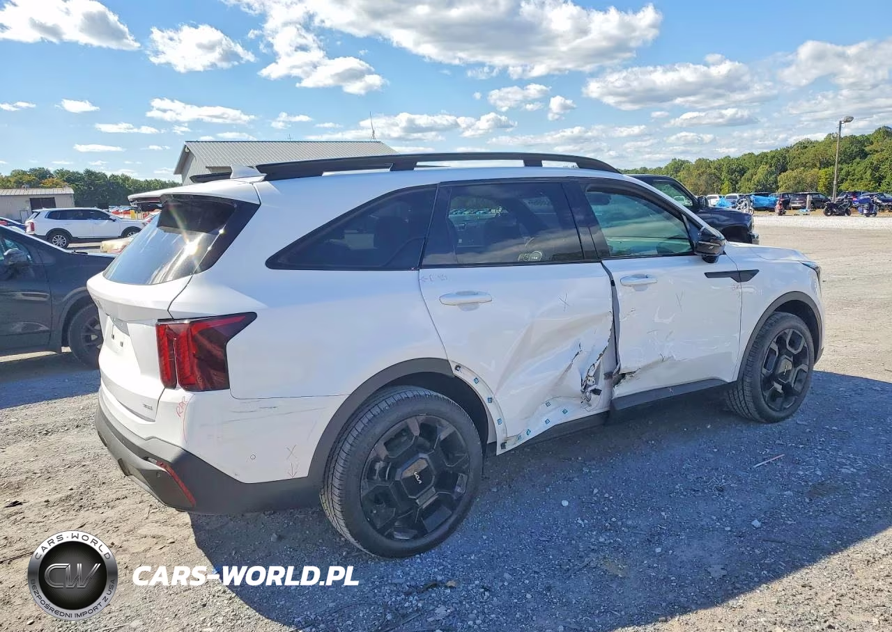 2024 Kia Sorento X-Line Sx Prestige VIN:5XYRKDJF3RG292326 - 3