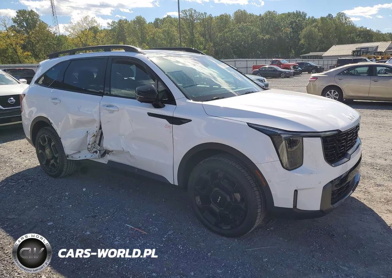 2024 Kia Sorento X-Line Sx Prestige VIN:5XYRKDJF3RG292326 - 4