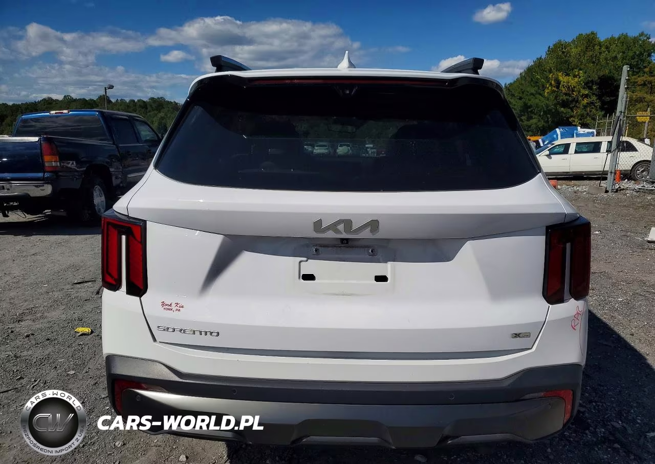 2024 Kia Sorento X-Line Sx Prestige VIN:5XYRKDJF3RG292326 - 6