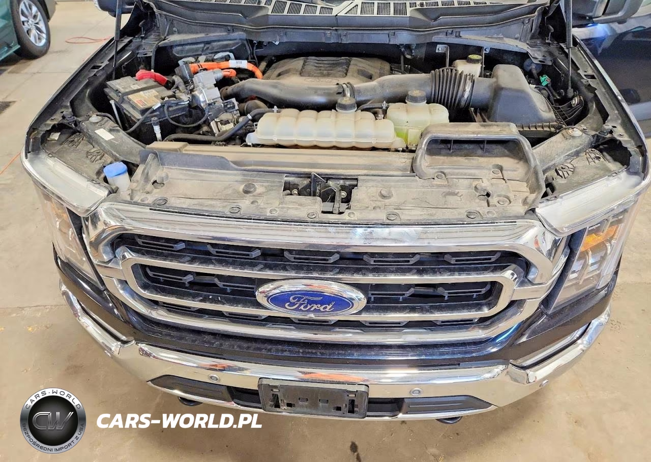 2023 Ford F150 Supercrew VIN:1FTFW1ED5PFA06670 - 11