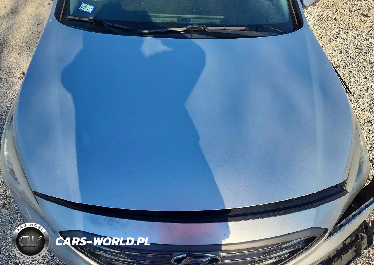 2017 Hyundai Sonata Sport VIN:5NPE34AF4HH489167 - 11