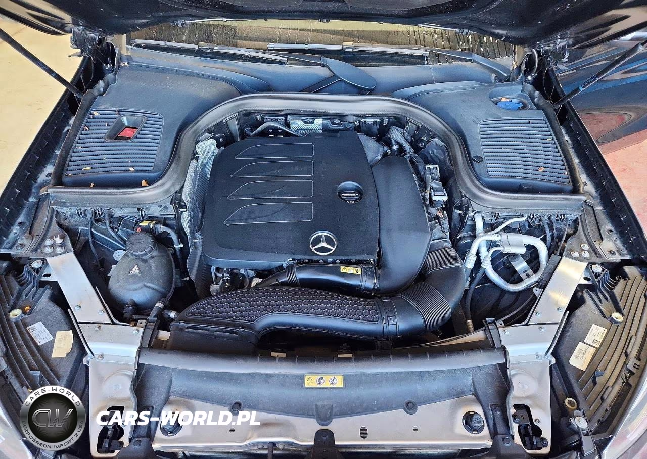 2020 Mercedes-Benz Glc 300 4Matic VIN:W1N0G8EB0LF816687 - 12
