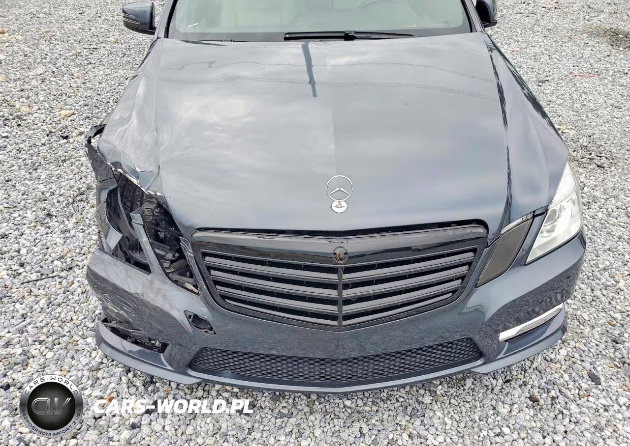 2013 Mercedes-Benz E 350 VIN:WDDHF5KB4DA710442 - 11