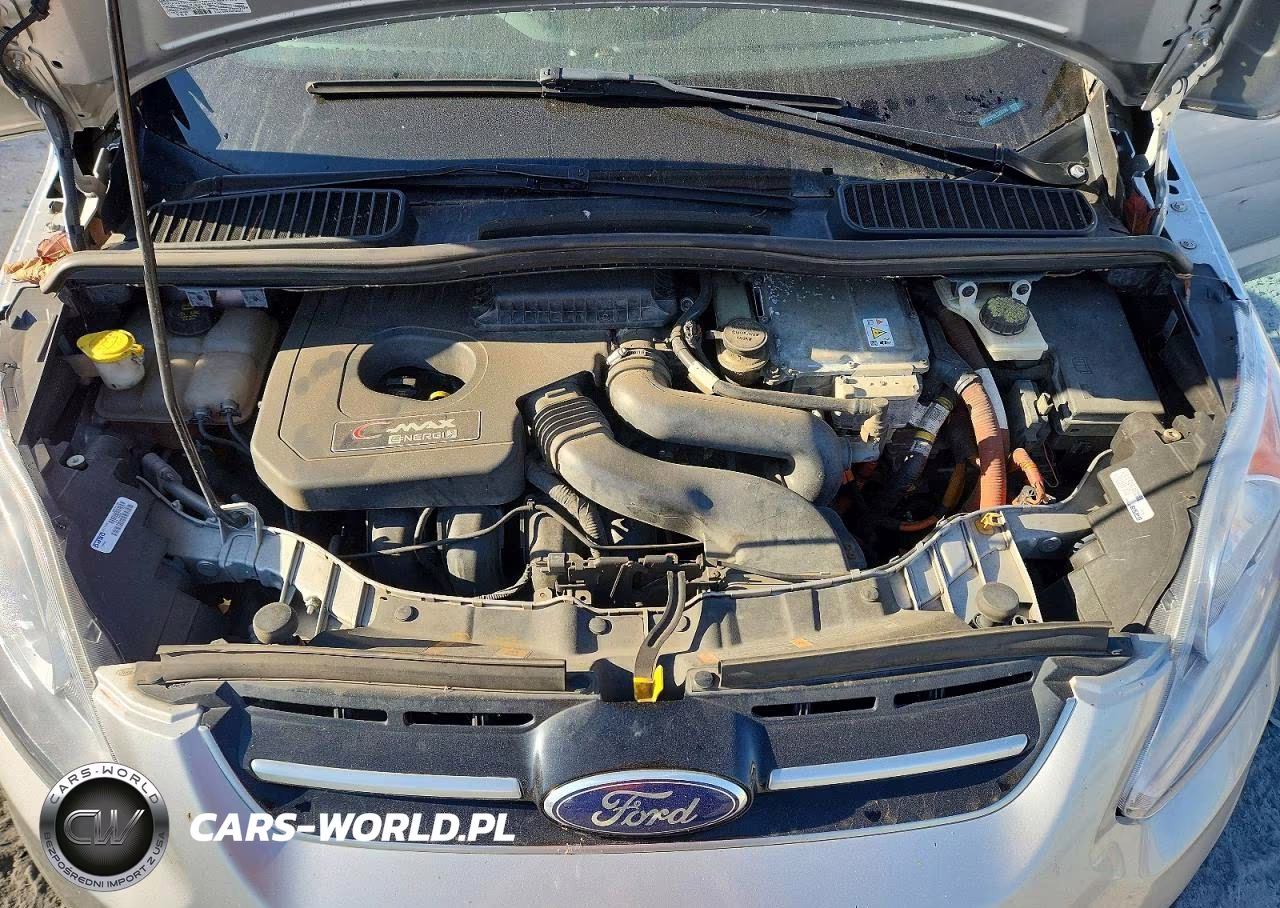 2014 Ford C-Max Premium VIN:1FADP5CU1EL520194 - 12
