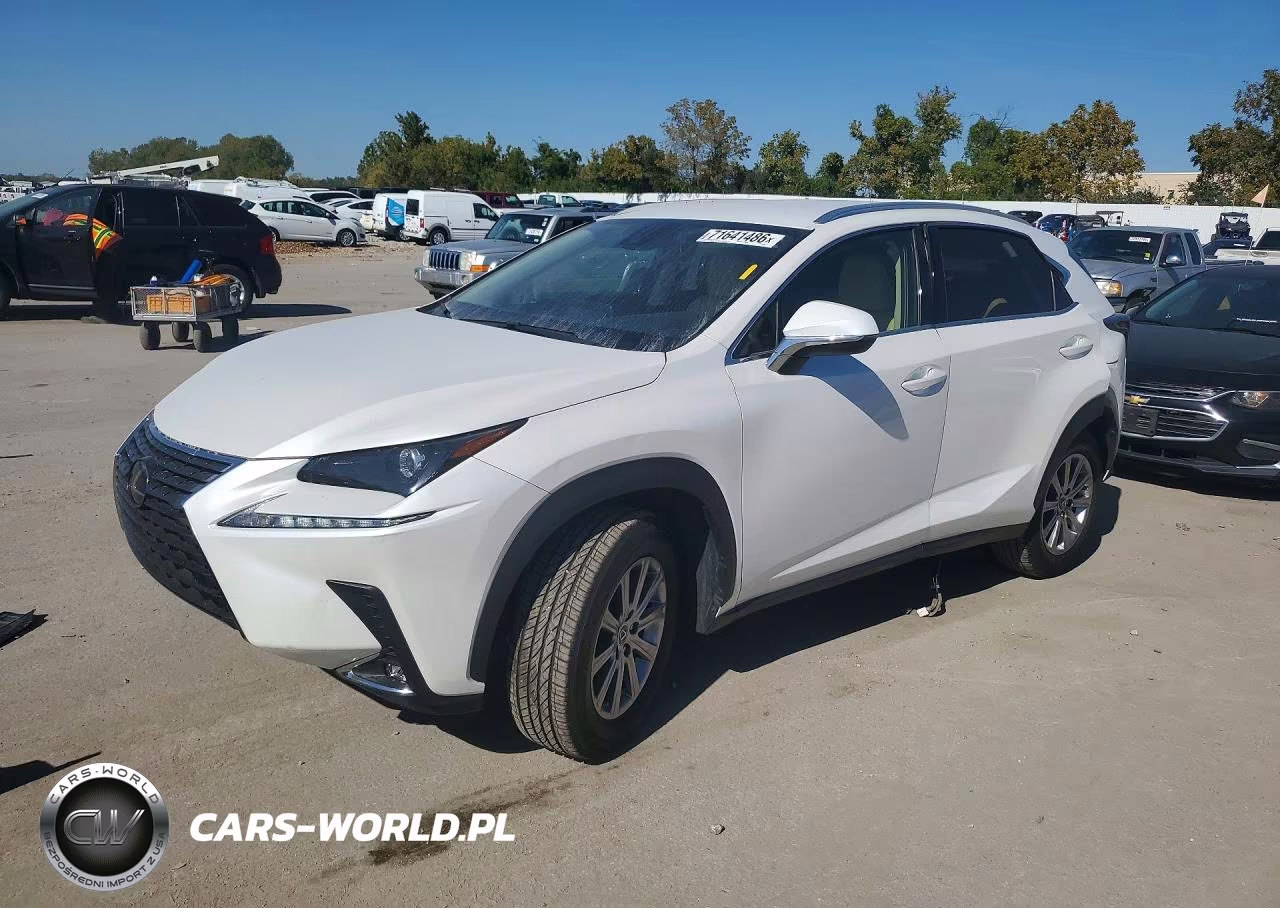 2021 Lexus Nx 300 Base VIN:JTJDARDZ7M5021851 - 1