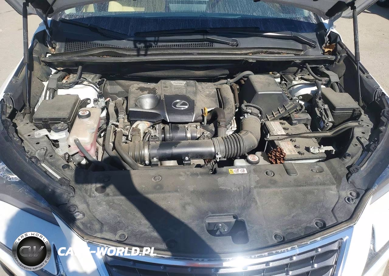 2021 Lexus Nx 300 Base VIN:JTJDARDZ7M5021851 - 11