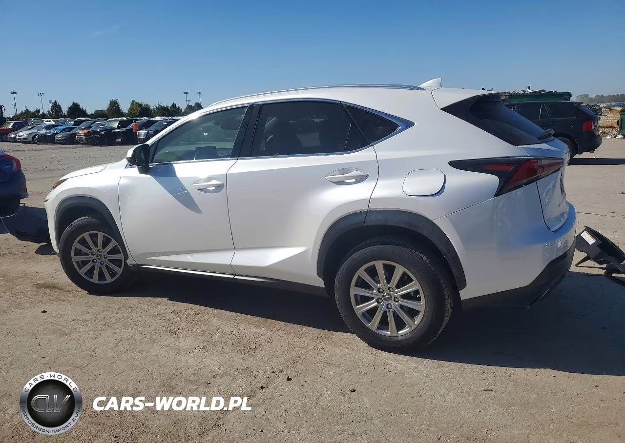2021 Lexus Nx 300 Base VIN:JTJDARDZ7M5021851 - 2