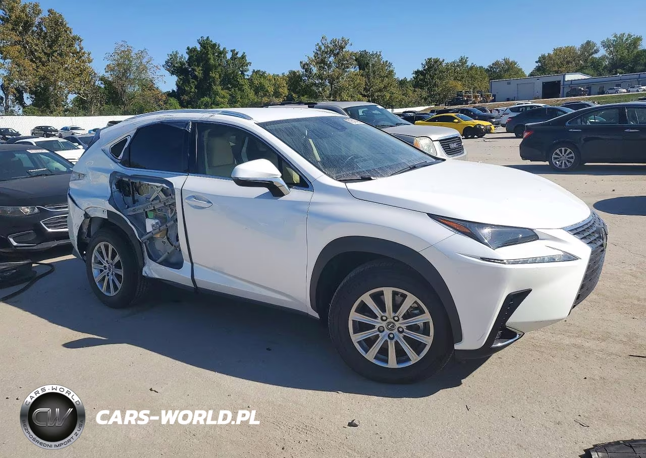 2021 Lexus Nx 300 Base VIN:JTJDARDZ7M5021851 - 4
