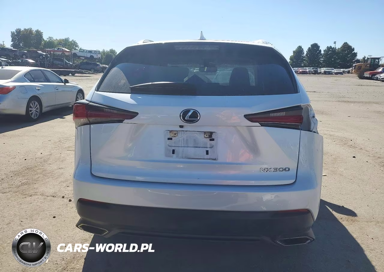 2021 Lexus Nx 300 Base VIN:JTJDARDZ7M5021851 - 6