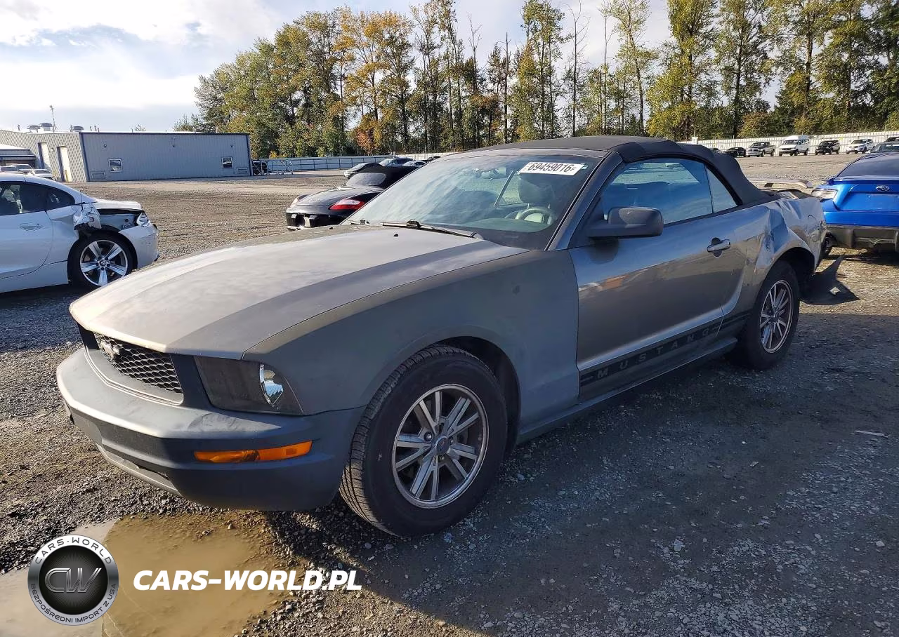 2005 Ford Mustang VIN:1ZVFT84N355253942 - 1