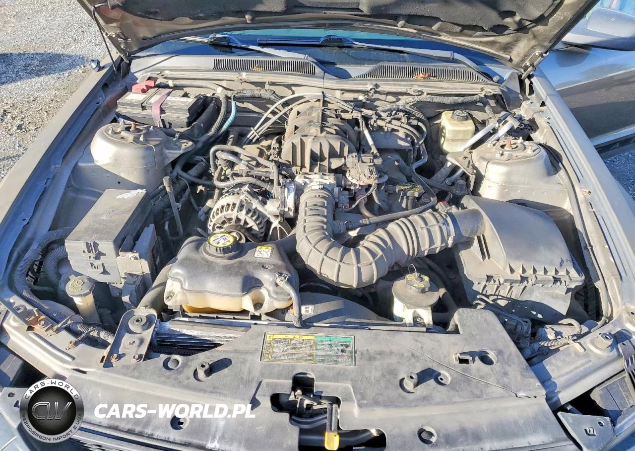 2005 Ford Mustang VIN:1ZVFT84N355253942 - 11