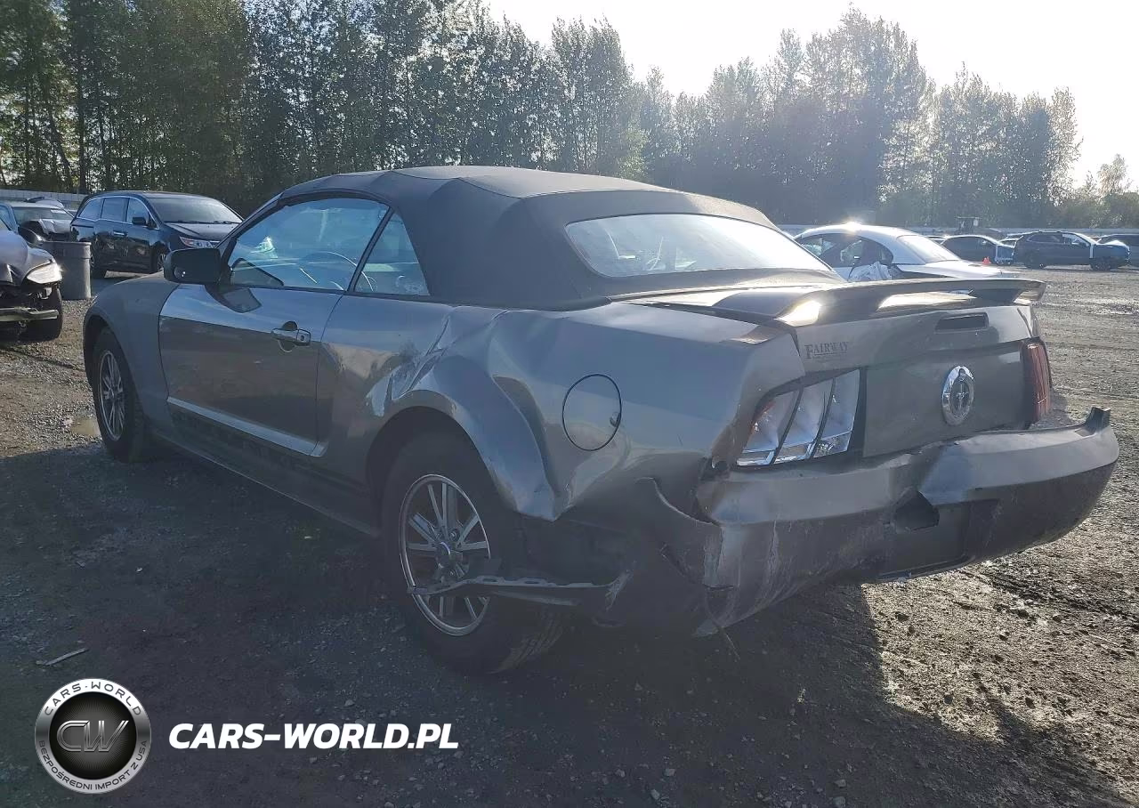2005 Ford Mustang VIN:1ZVFT84N355253942 - 2