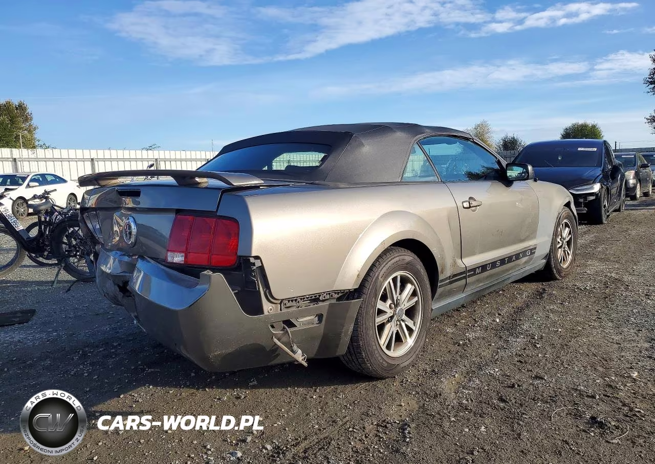 2005 Ford Mustang VIN:1ZVFT84N355253942 - 3