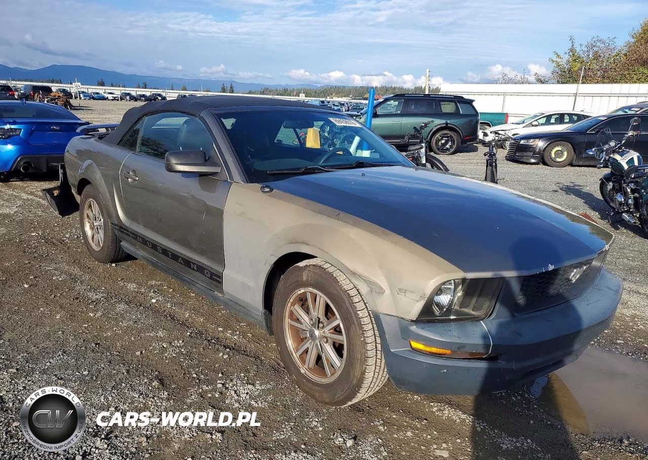 2005 Ford Mustang VIN:1ZVFT84N355253942 - 4