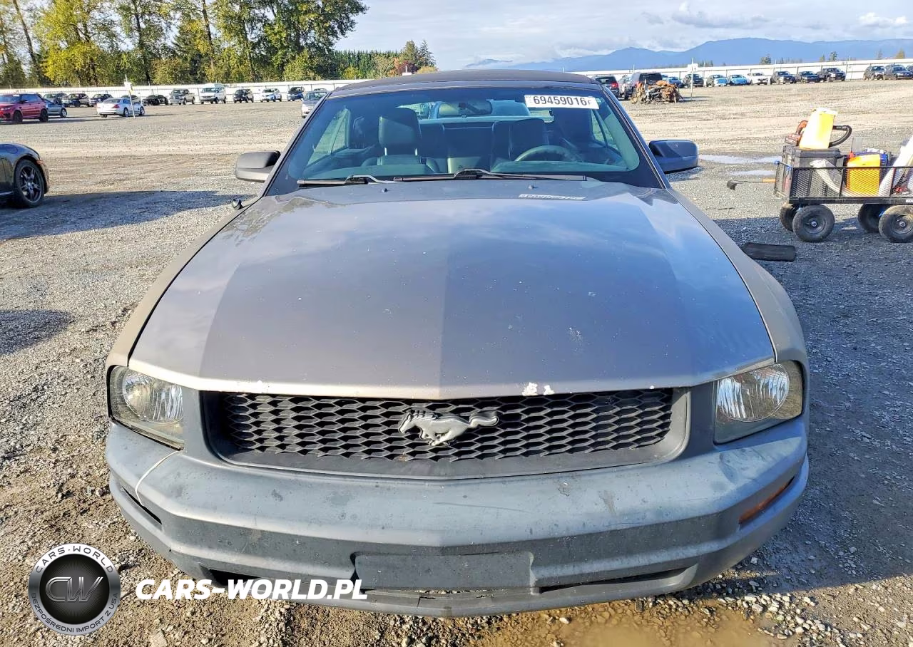 2005 Ford Mustang VIN:1ZVFT84N355253942 - 5