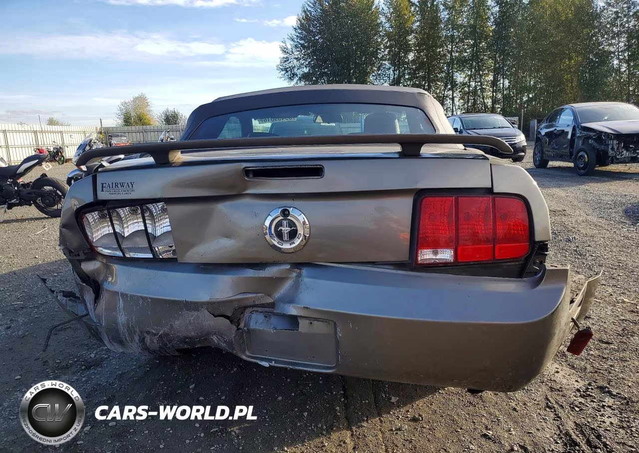 2005 Ford Mustang VIN:1ZVFT84N355253942 - 6