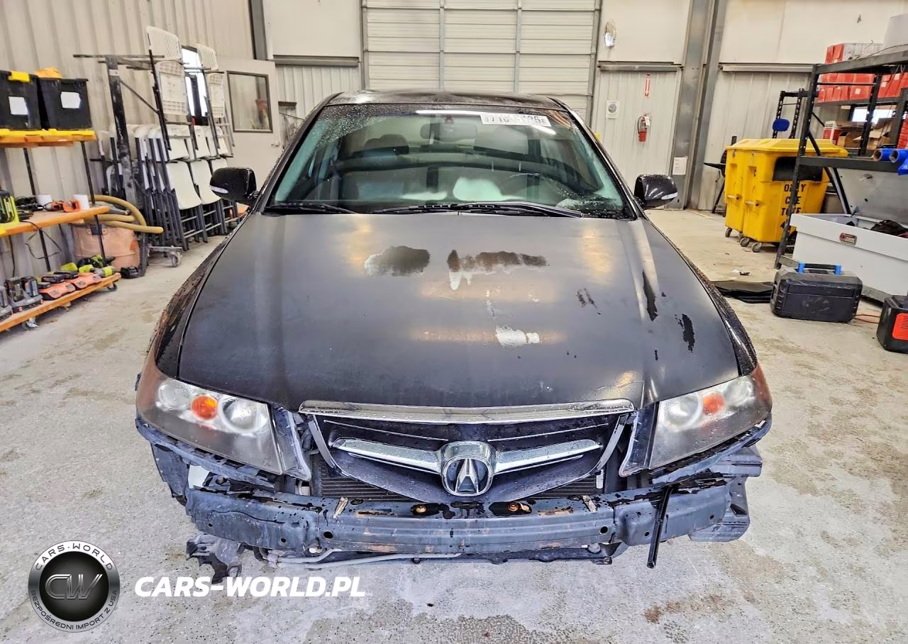 2004 Acura Tsx VIN:JH4CL96844C039019 - 5