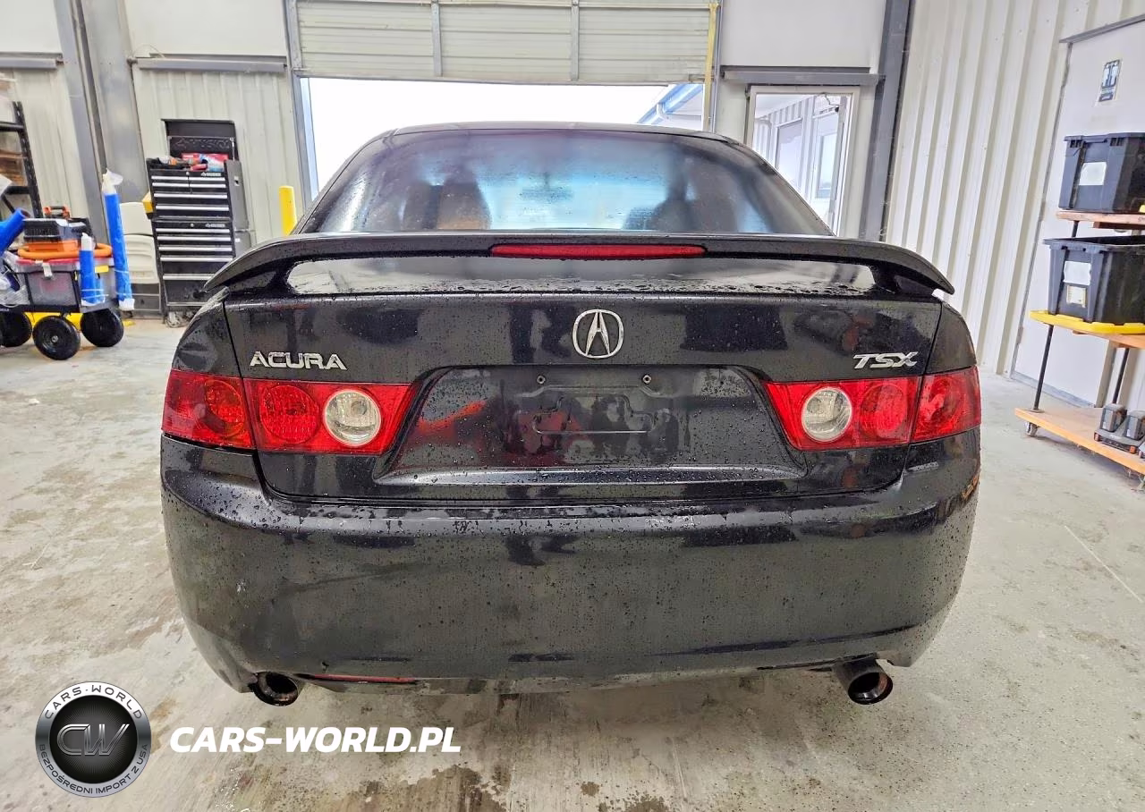 2004 Acura Tsx VIN:JH4CL96844C039019 - 6