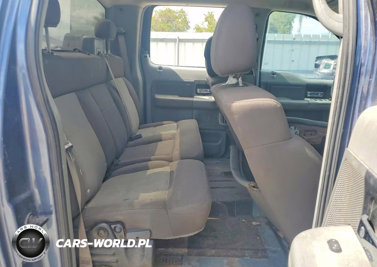2006 Ford F150 Supercrew VIN:1FTRW14W46KD38489 - 10