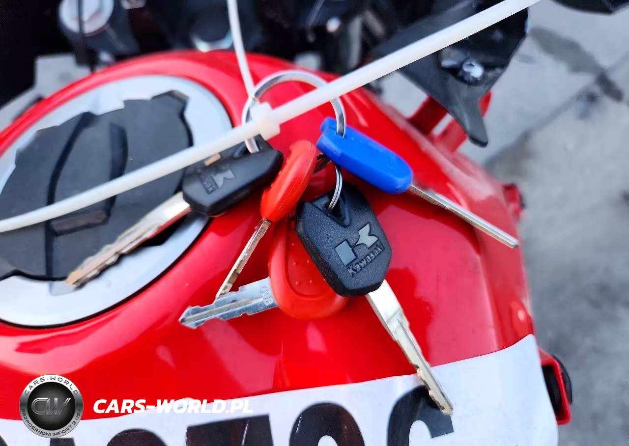 2018 Kawasaki Kle300 C VIN:JKALE8C14JDA06103 - 8