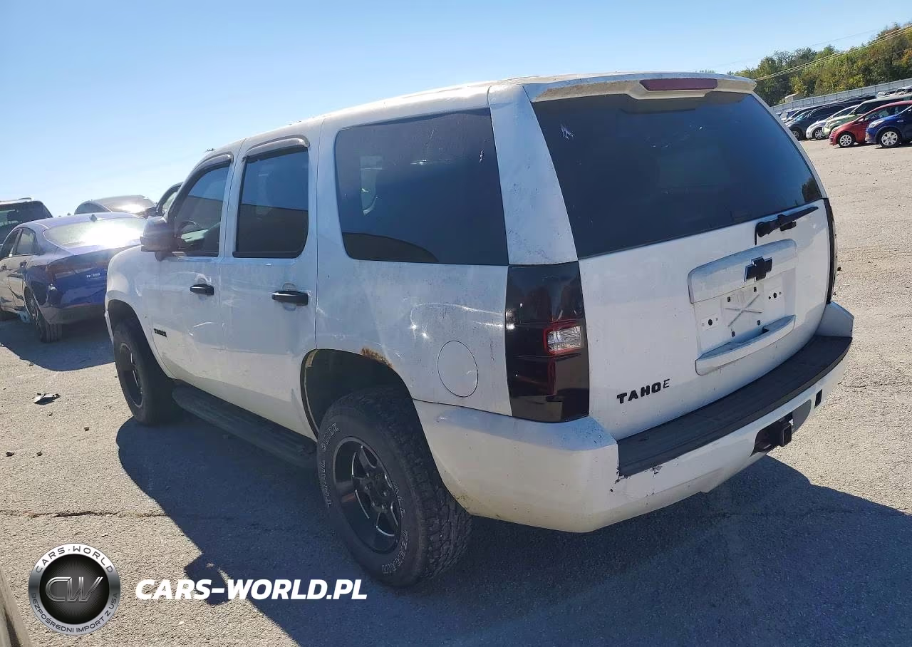 2009 Chevrolet Tahoe Special VIN:1GNFK03059R169365 - 2