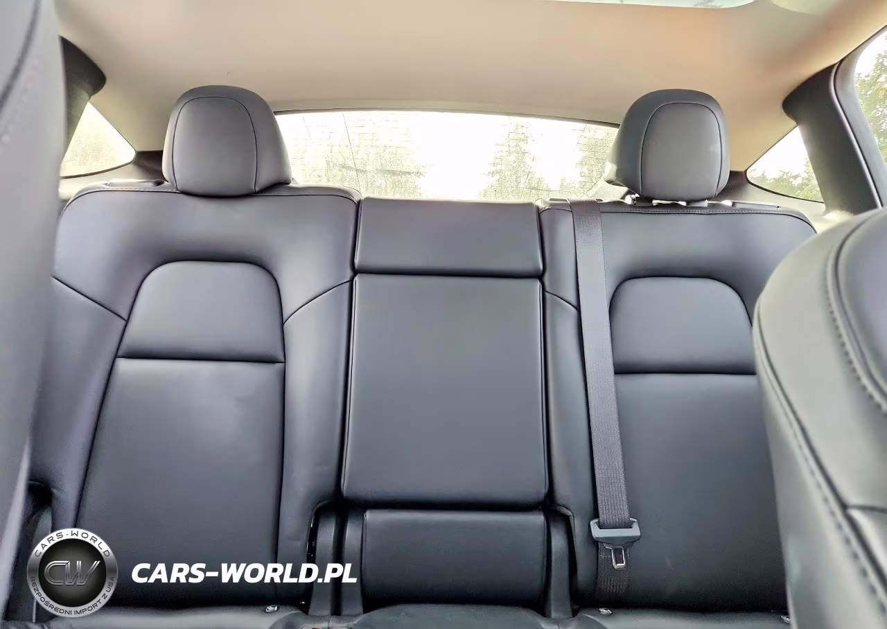 2023 Tesla Model Y VIN:7SAYGDEE4PF859861 - 10