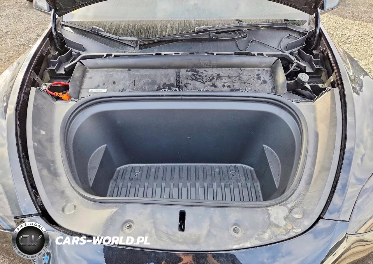 2023 Tesla Model Y VIN:7SAYGDEE4PF859861 - 12