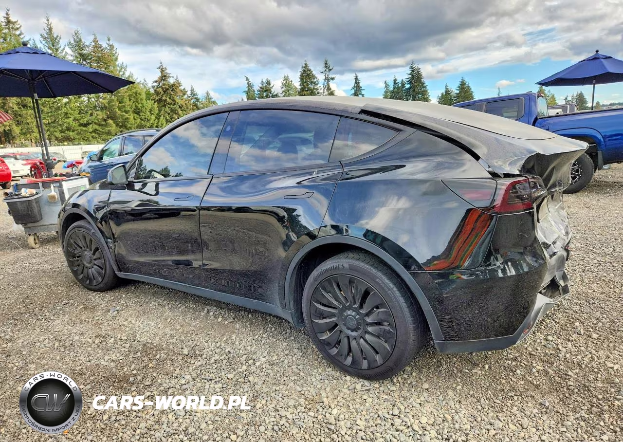 2023 Tesla Model Y VIN:7SAYGDEE4PF859861 - 2