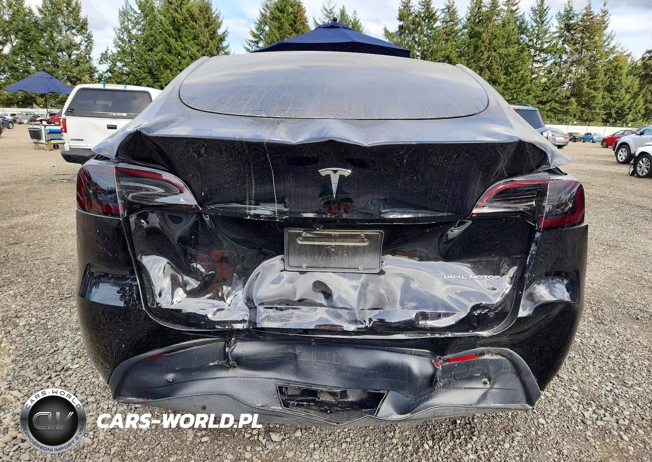 2023 Tesla Model Y VIN:7SAYGDEE4PF859861 - 6
