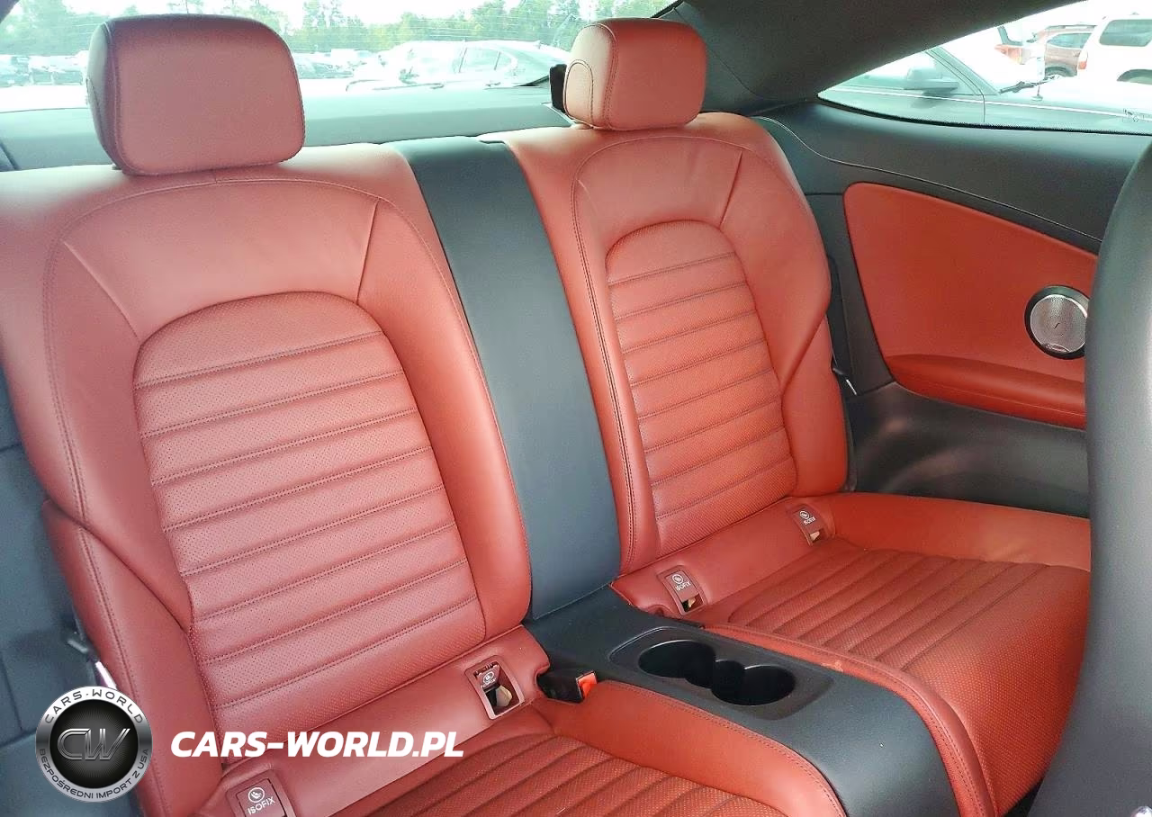 2023 Mercedes-Benz C 300 VIN:W1KWJ8DB9PG125975 - 10