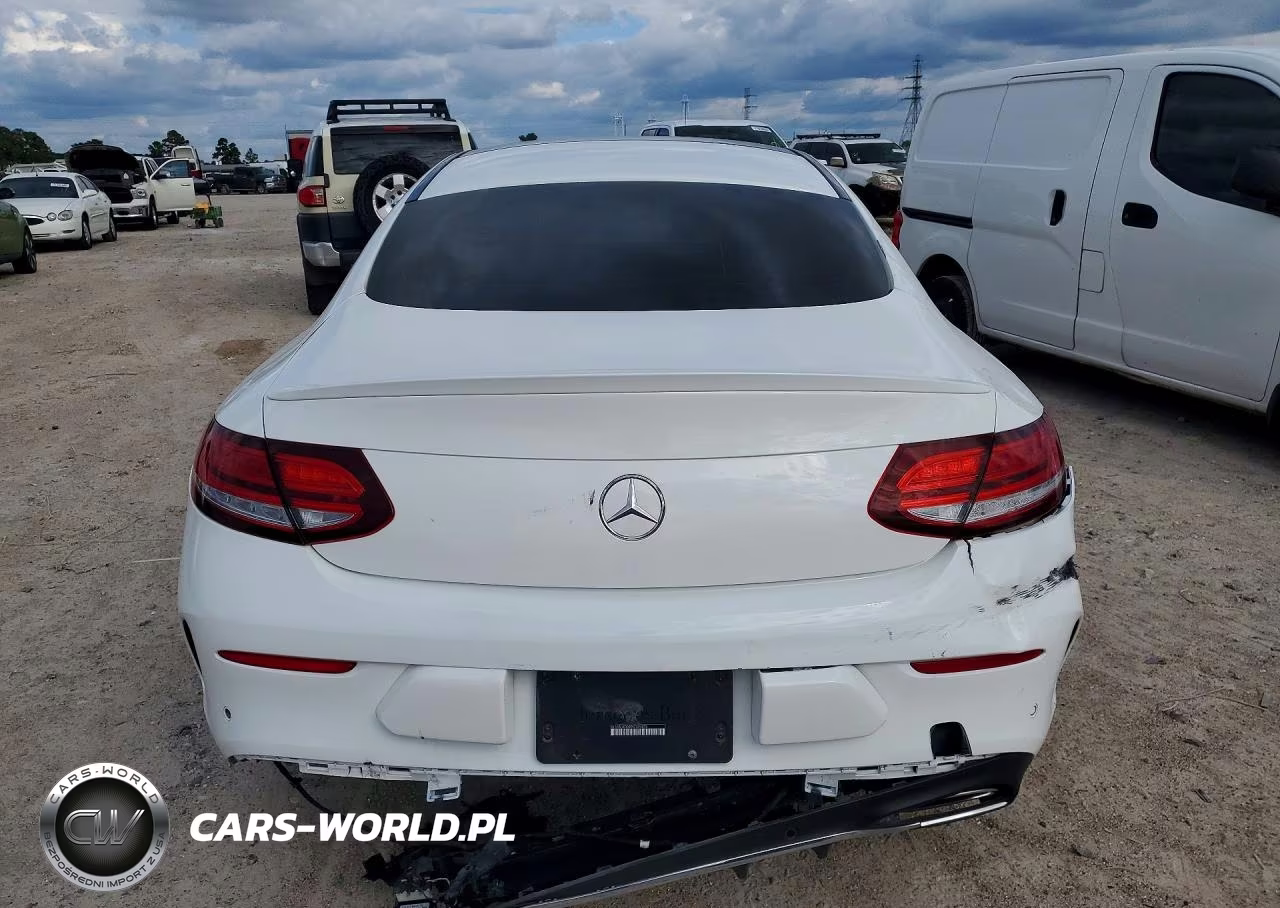 2023 Mercedes-Benz C 300 VIN:W1KWJ8DB9PG125975 - 6