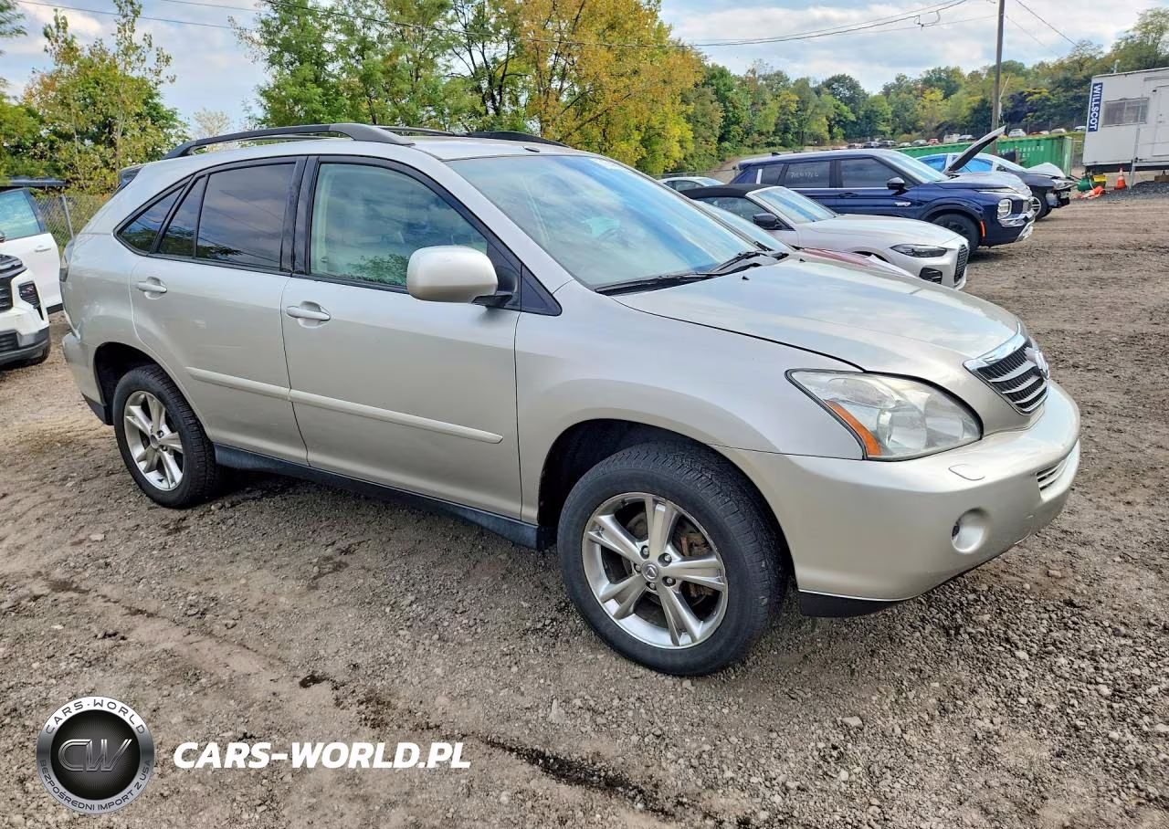 2006 Lexus Rx 400H VIN:JTJHW31U960014134 - 4