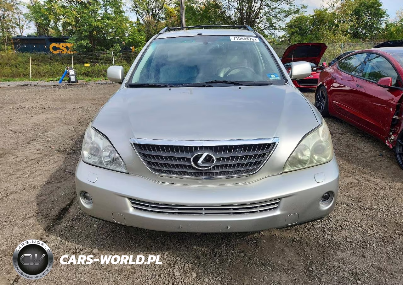 2006 Lexus Rx 400H VIN:JTJHW31U960014134 - 5