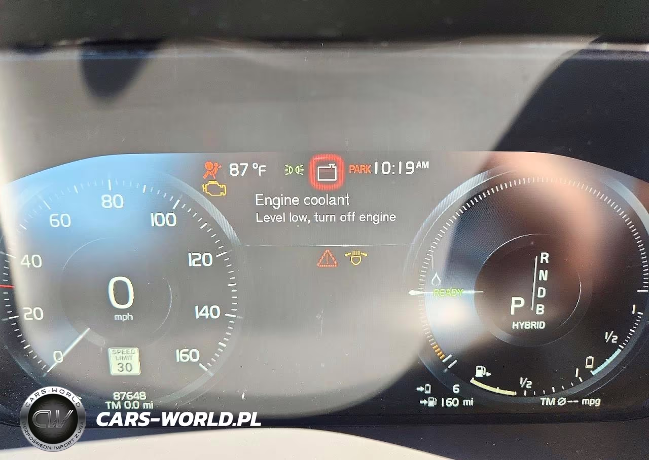 2019 Volvo Xc90 T8 Inscription VIN:YV4BR0CL8K1511616 - 9