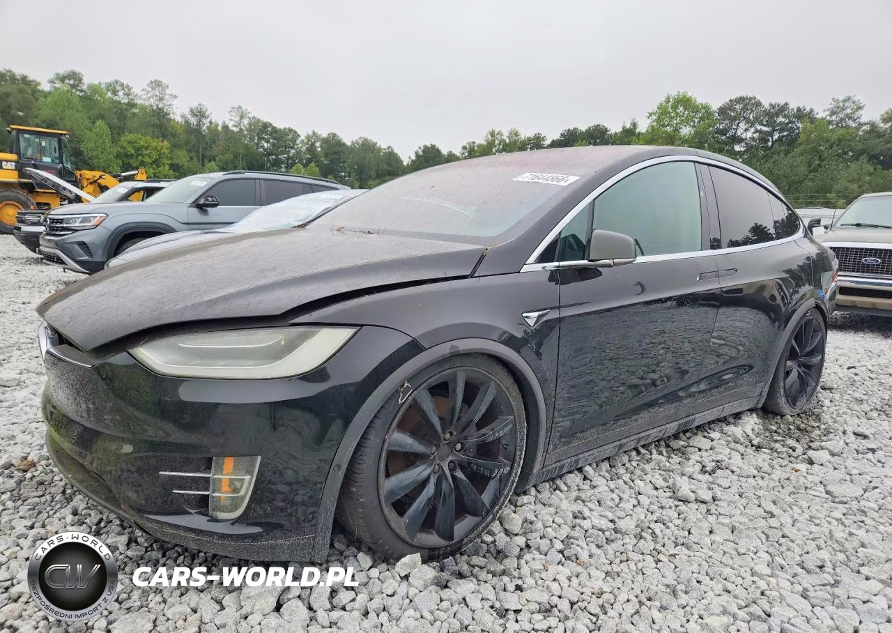 2019 Tesla Model X