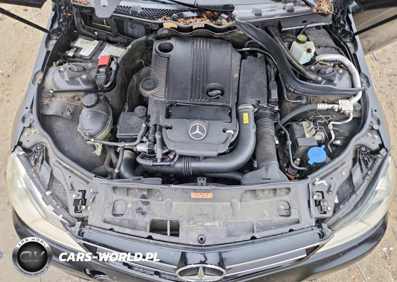 2014 Mercedes-Benz C 250 VIN:WDDGJ4HB9EG282409 - 11