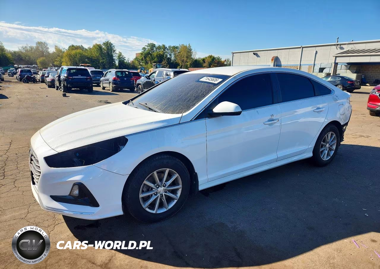 2019 Hyundai Sonata Se VIN:5NPE24AF3KH788613 - 1