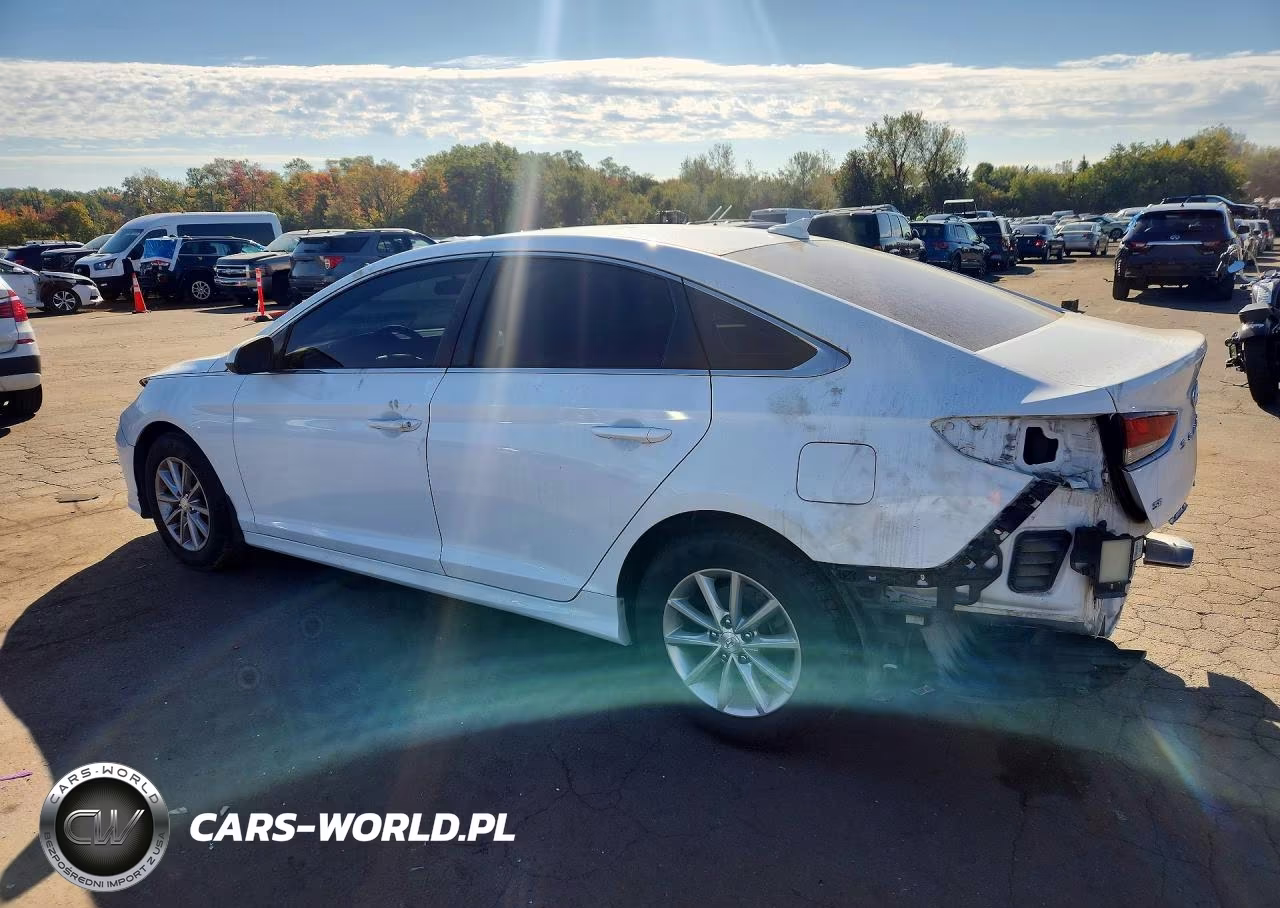 2019 Hyundai Sonata Se VIN:5NPE24AF3KH788613 - 2