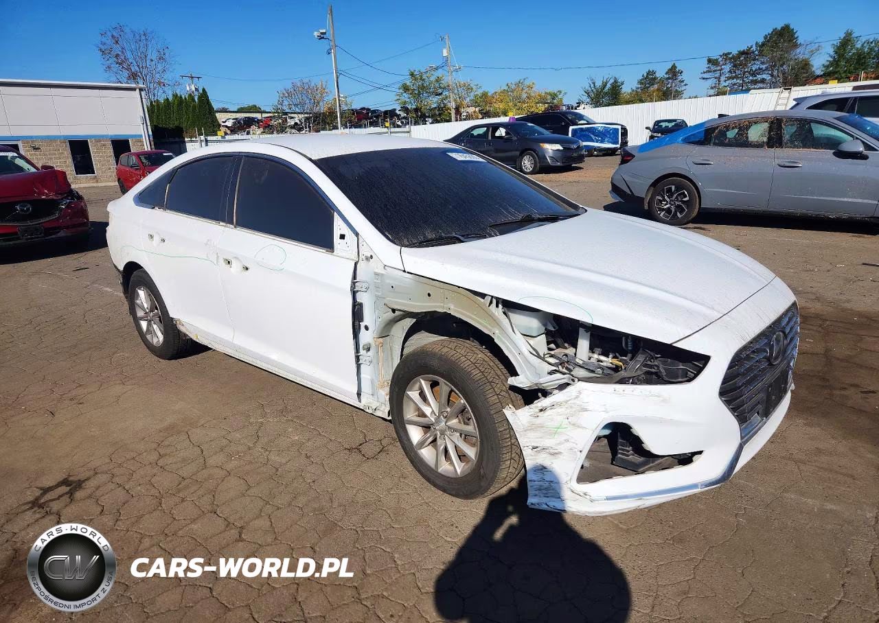 2019 Hyundai Sonata Se VIN:5NPE24AF3KH788613 - 4