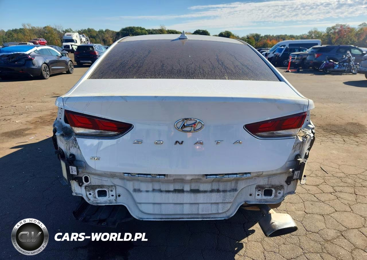 2019 Hyundai Sonata Se VIN:5NPE24AF3KH788613 - 6