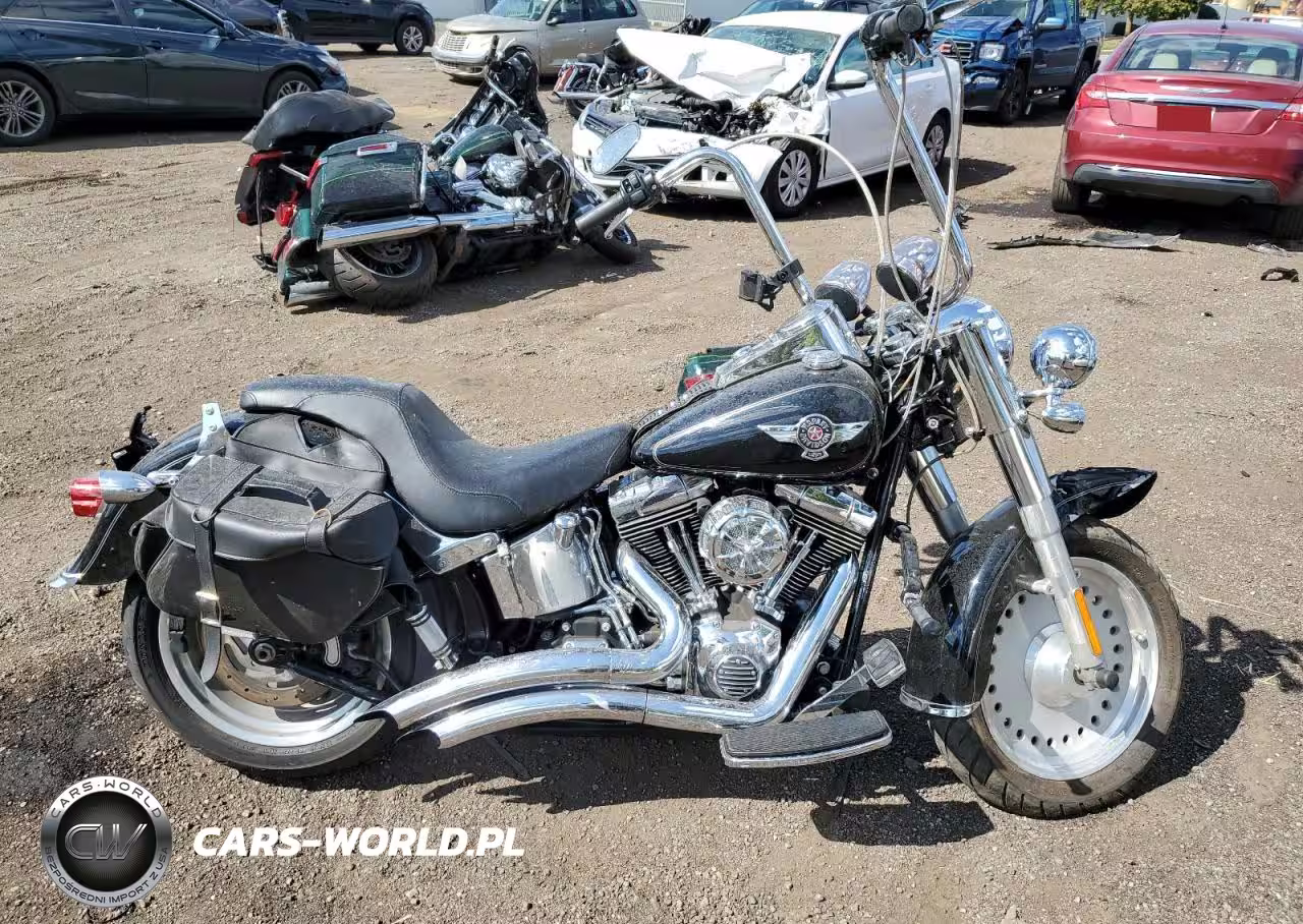 2011 Harley-Davidson Flstf