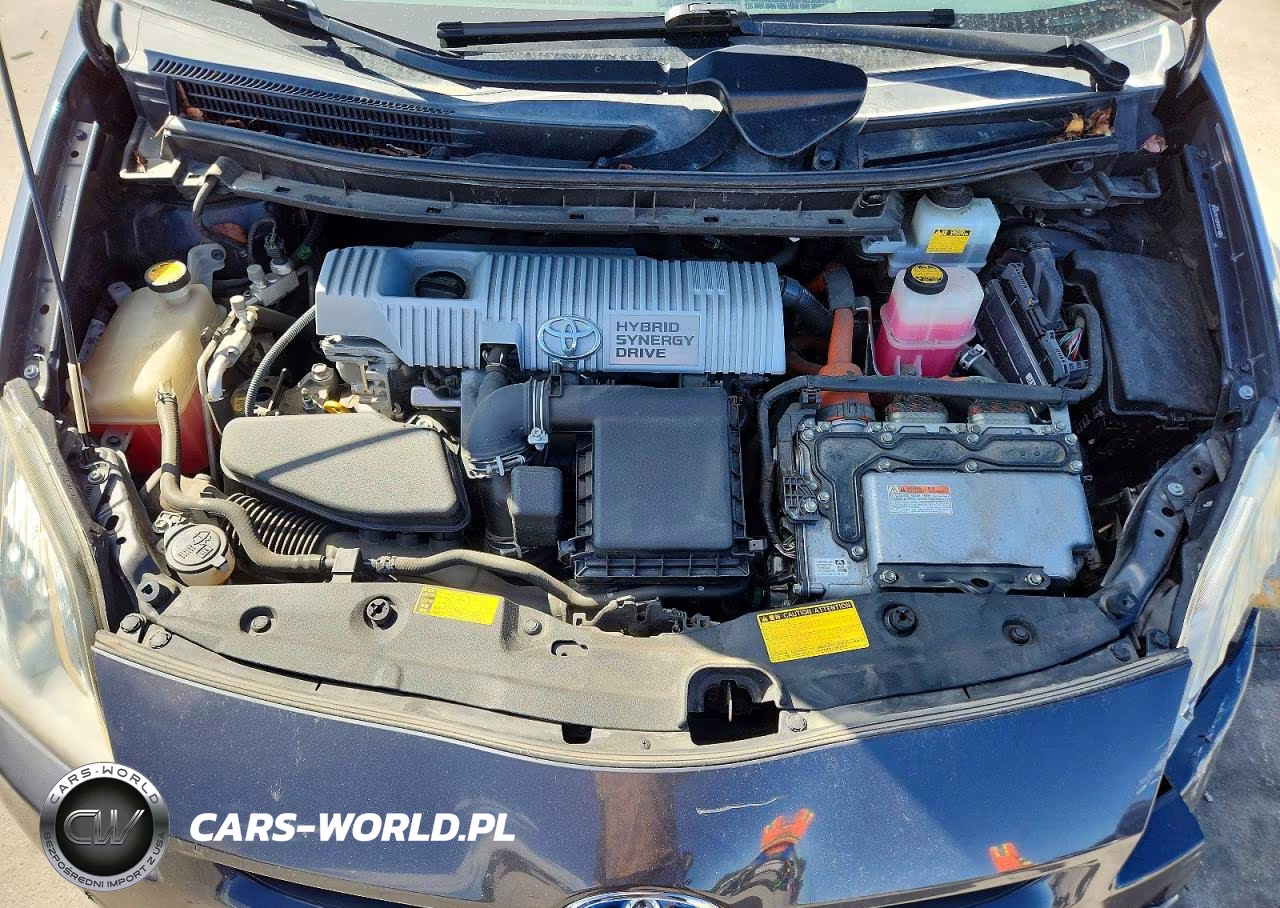 2010 Toyota Prius VIN:JTDKN3DU1A0245545 - 11
