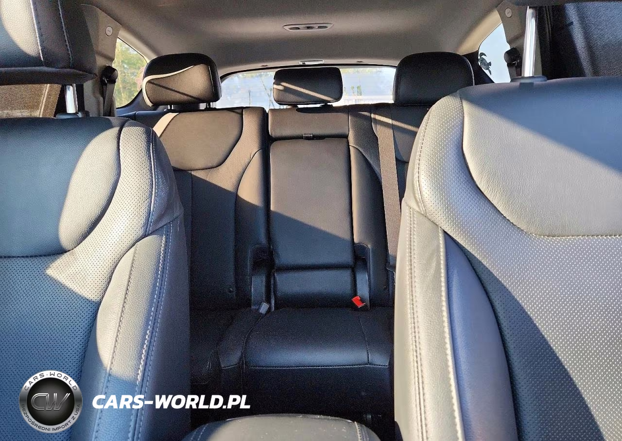 2020 Hyundai Santa Fe Limited VIN:5NMS53AD5LH180089 - 10