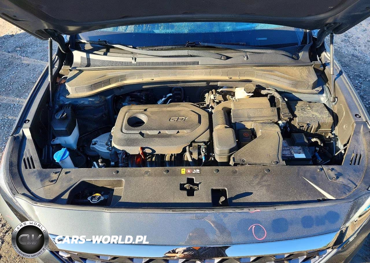2020 Hyundai Santa Fe Limited VIN:5NMS53AD5LH180089 - 12