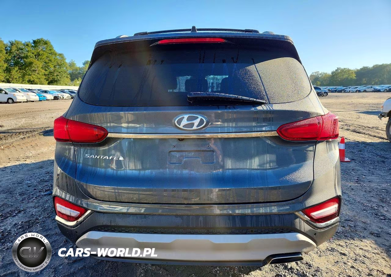 2020 Hyundai Santa Fe Limited VIN:5NMS53AD5LH180089 - 6