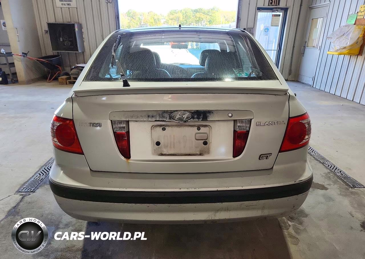 2004 Hyundai Elantra Gt VIN:KMHDN56D74U126988 - 6
