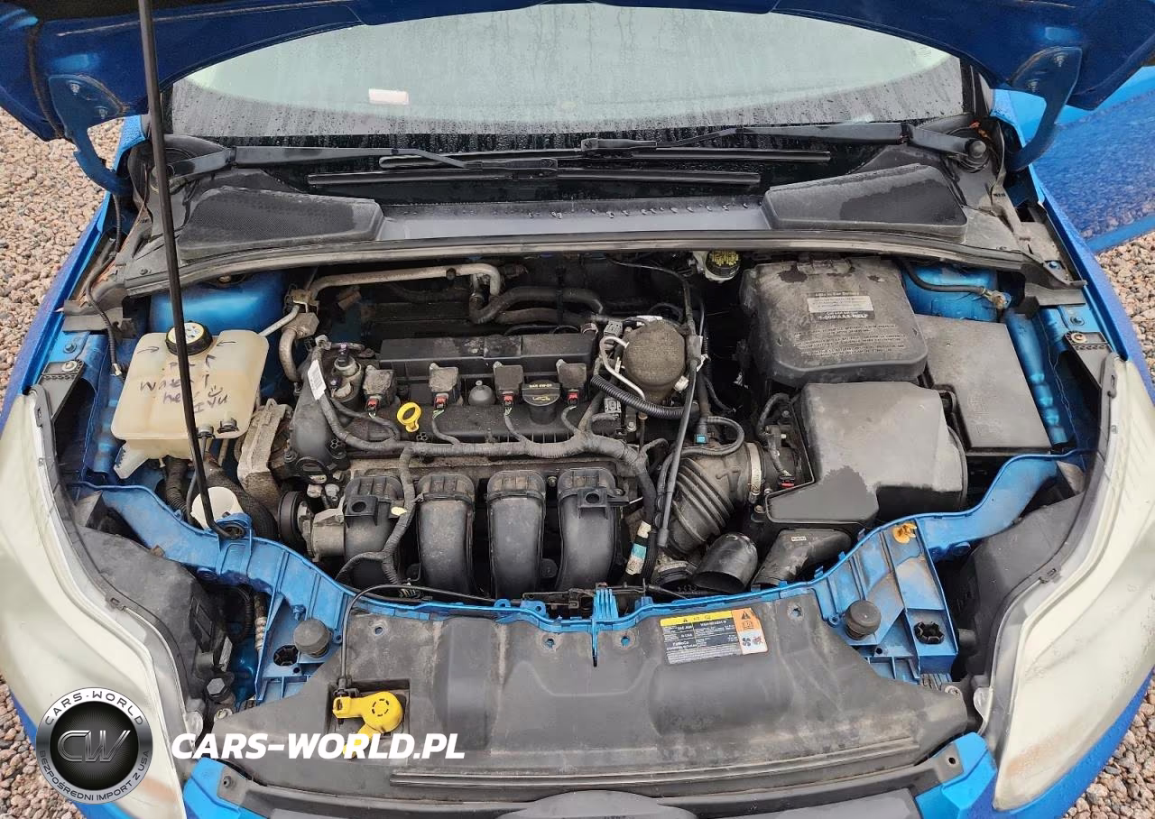 2013 Ford Focus Se VIN:1FADP3F22DL232584 - 11